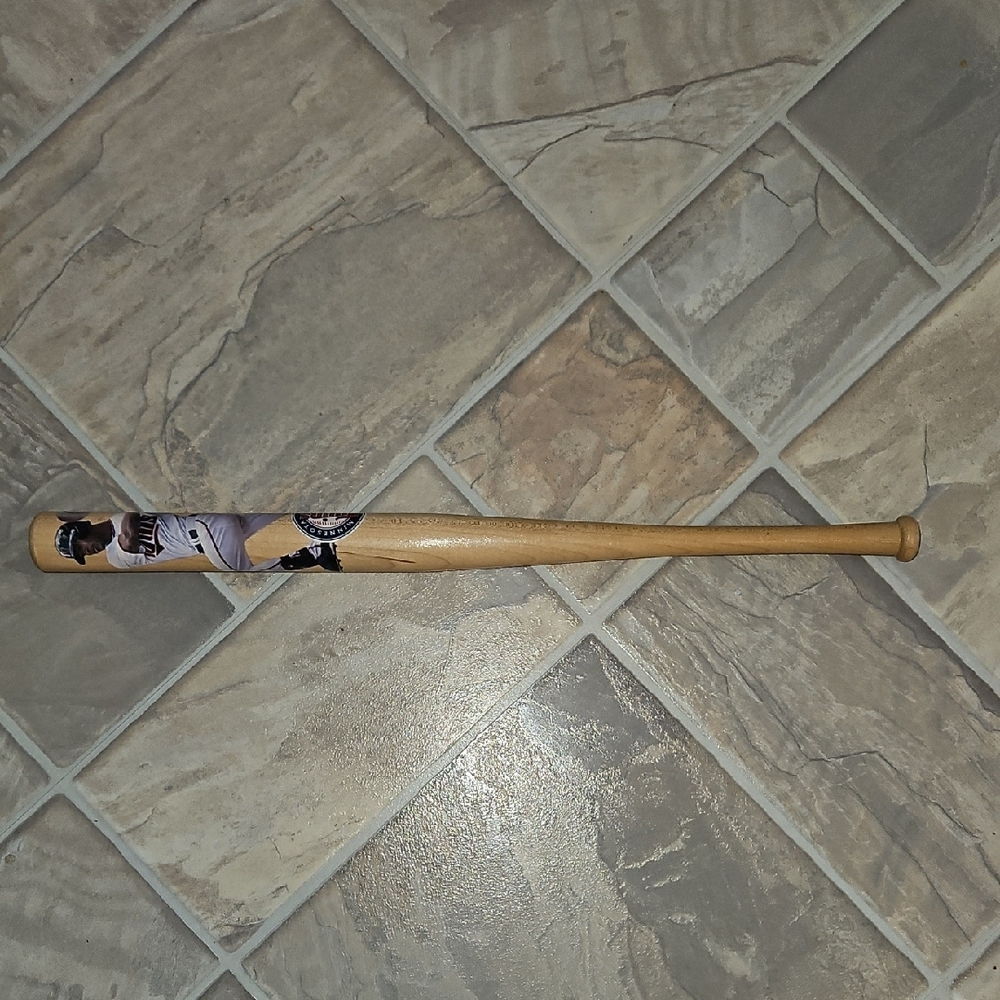 Mini Wooden Baseball Bat with Byron Buxton And Signature